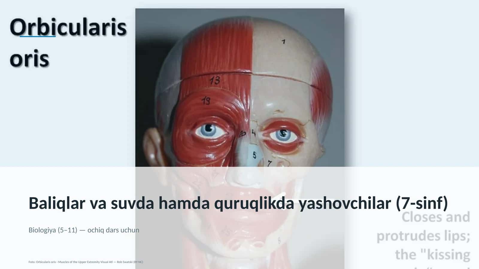 Baliqlar va suvda hamda quruqlikda yashovchilar (7-sinf) 1