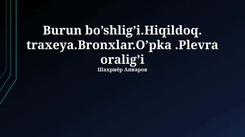 Bronxlarning funksiyalari 1