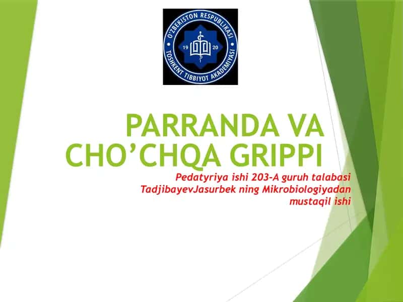 Parranda grippi 1