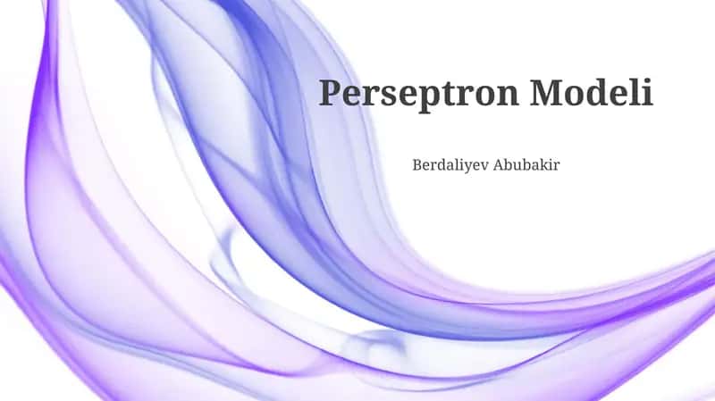 Perseptron Modeli 1
