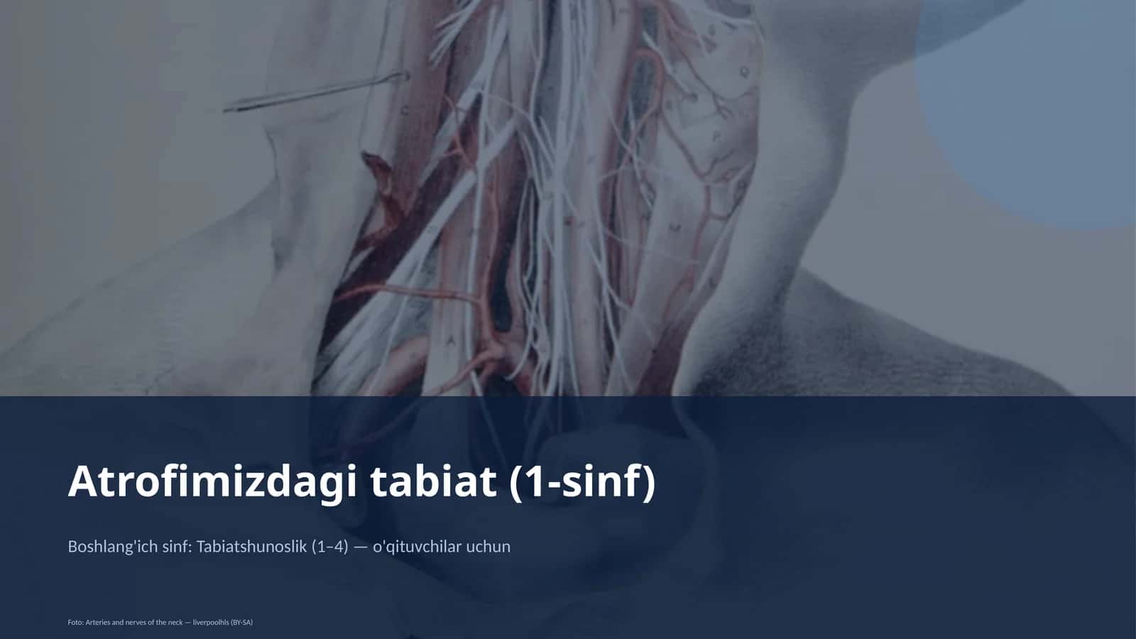 Atrofimizdagi tabiat (1-sinf) 1