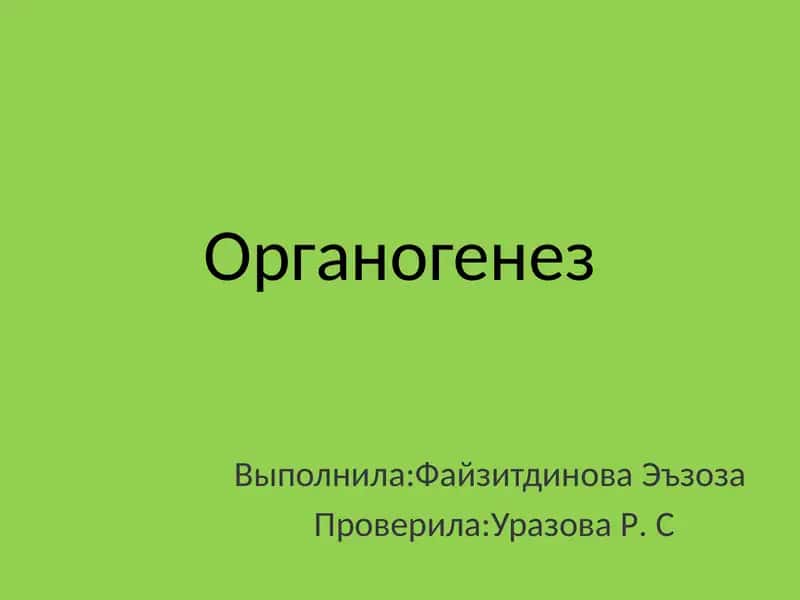 Органогенез 1