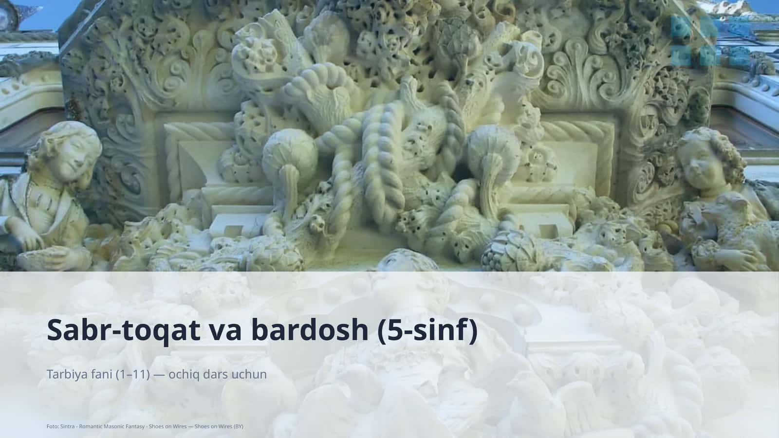 Sabr-toqat va bardosh (5-sinf) 1