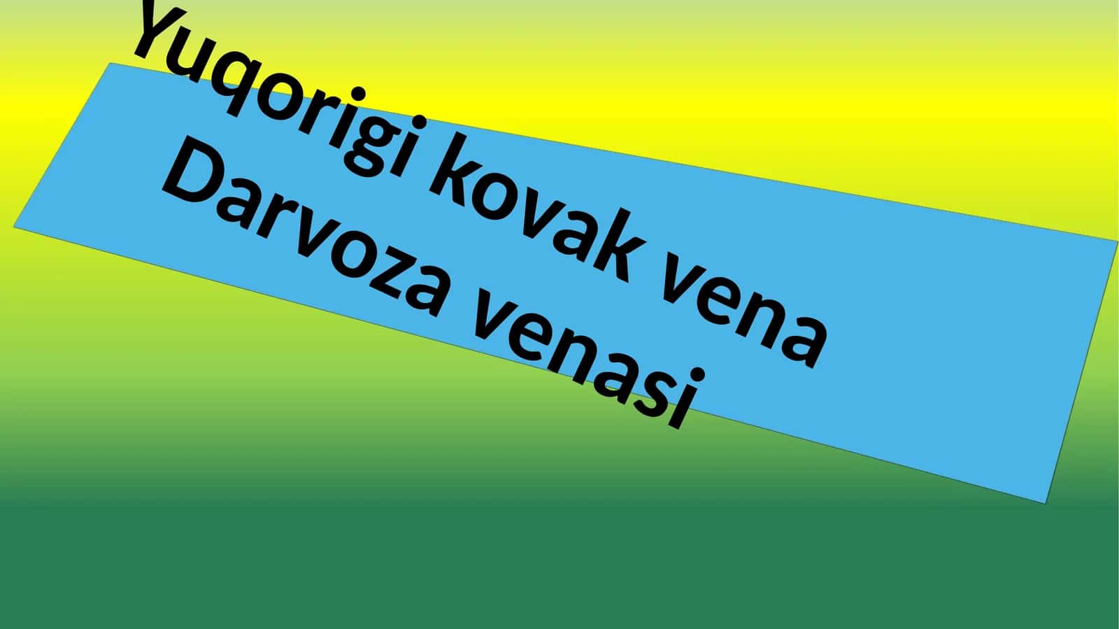 Yuqorigi kovak vena 1