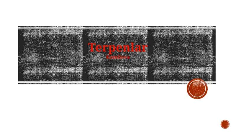 Terpenlar 1
