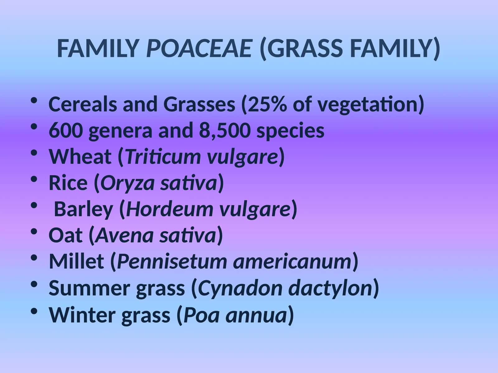 Cereals and Grasses 1