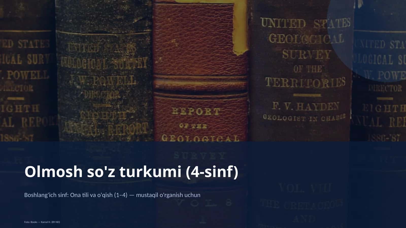 Olmosh so'z turkumi (4-sinf) 1