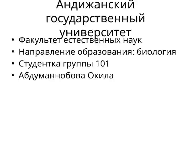 Имя существительное — определение и значение