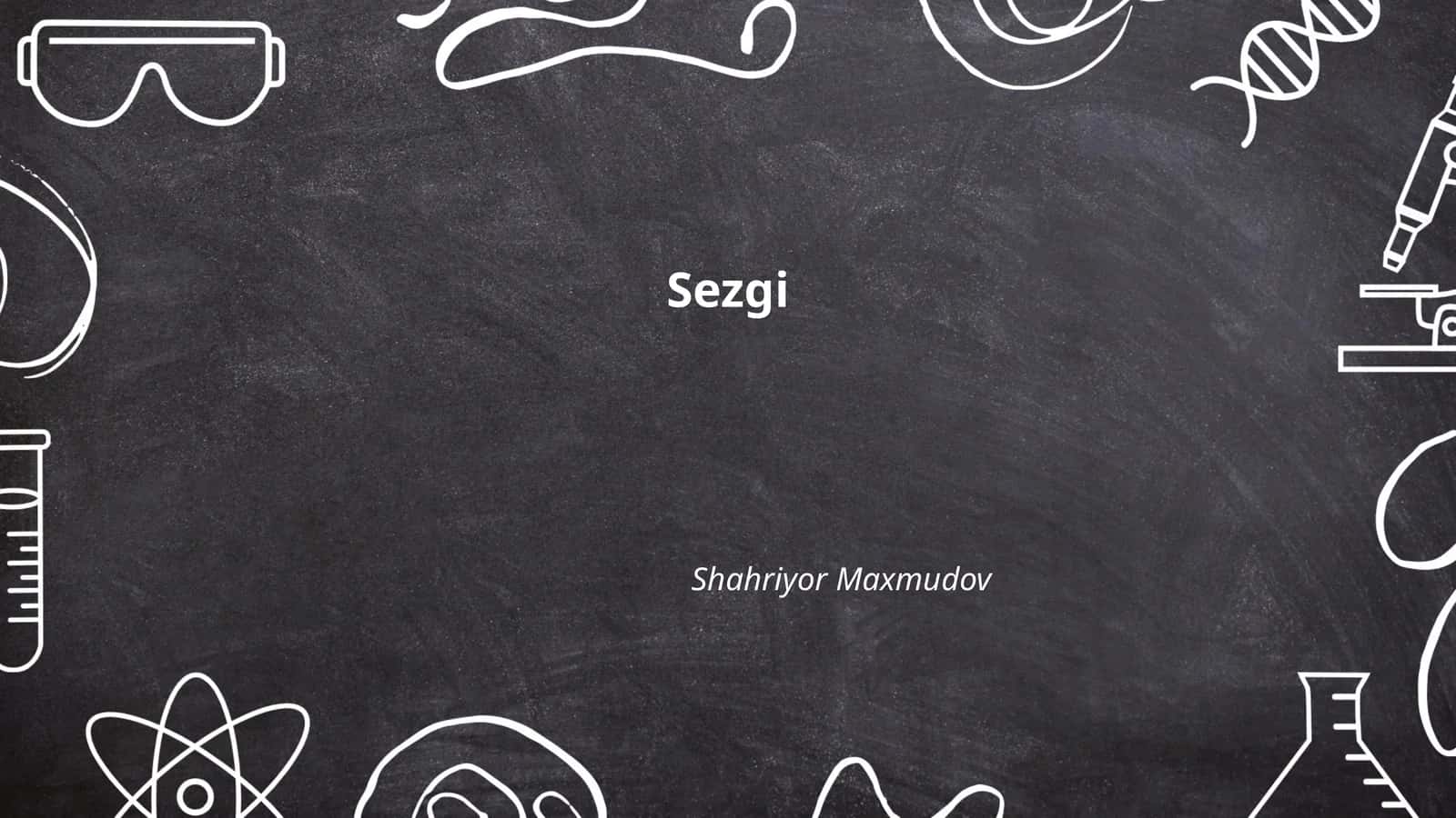Sezgi 1