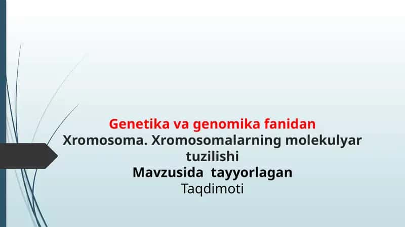 Xromosoma. Xromosomalarning molekulyar tuzilishi 1