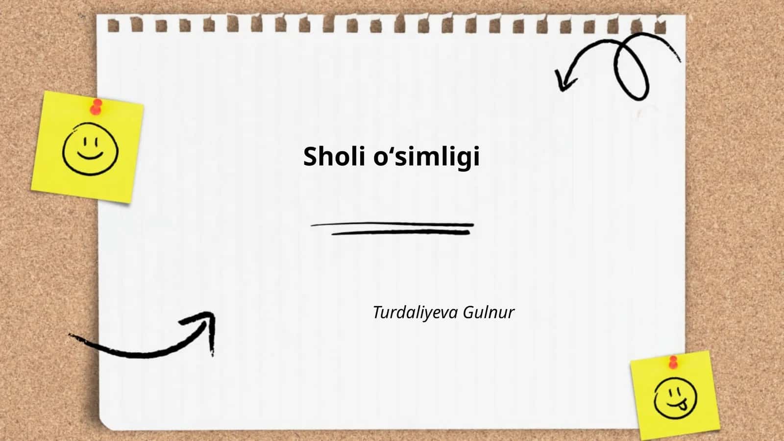 Sholi oʻsimligi 1