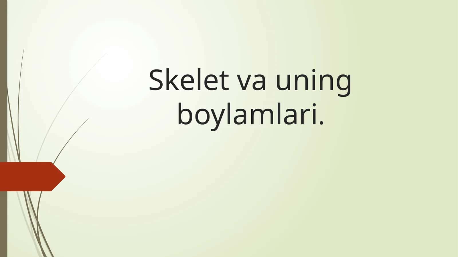 Skelet vauning boylamlari 1