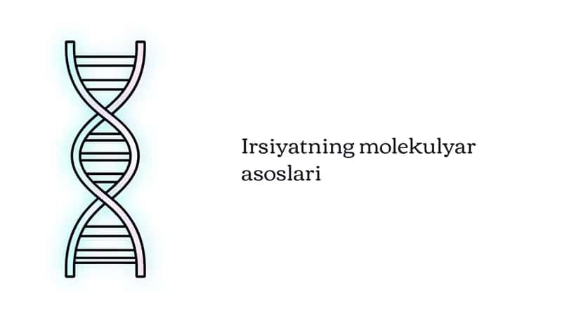 Irsiyatning molekulyar asoslari 1