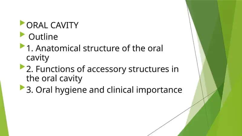 Anatomical structure of the oral cavity 1