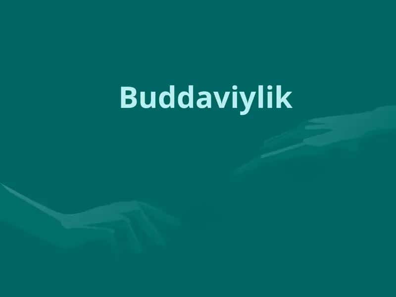 Buddaviylik 1