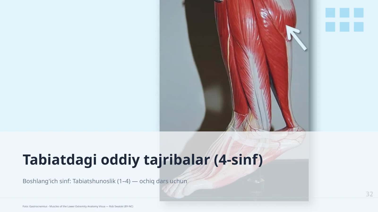Tabiatdagi oddiy tajribalar (4-sinf) 1