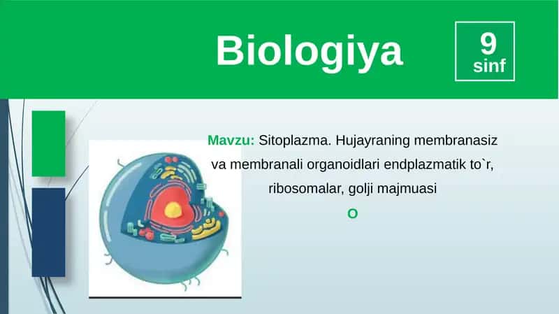 Sitoplazma 1
