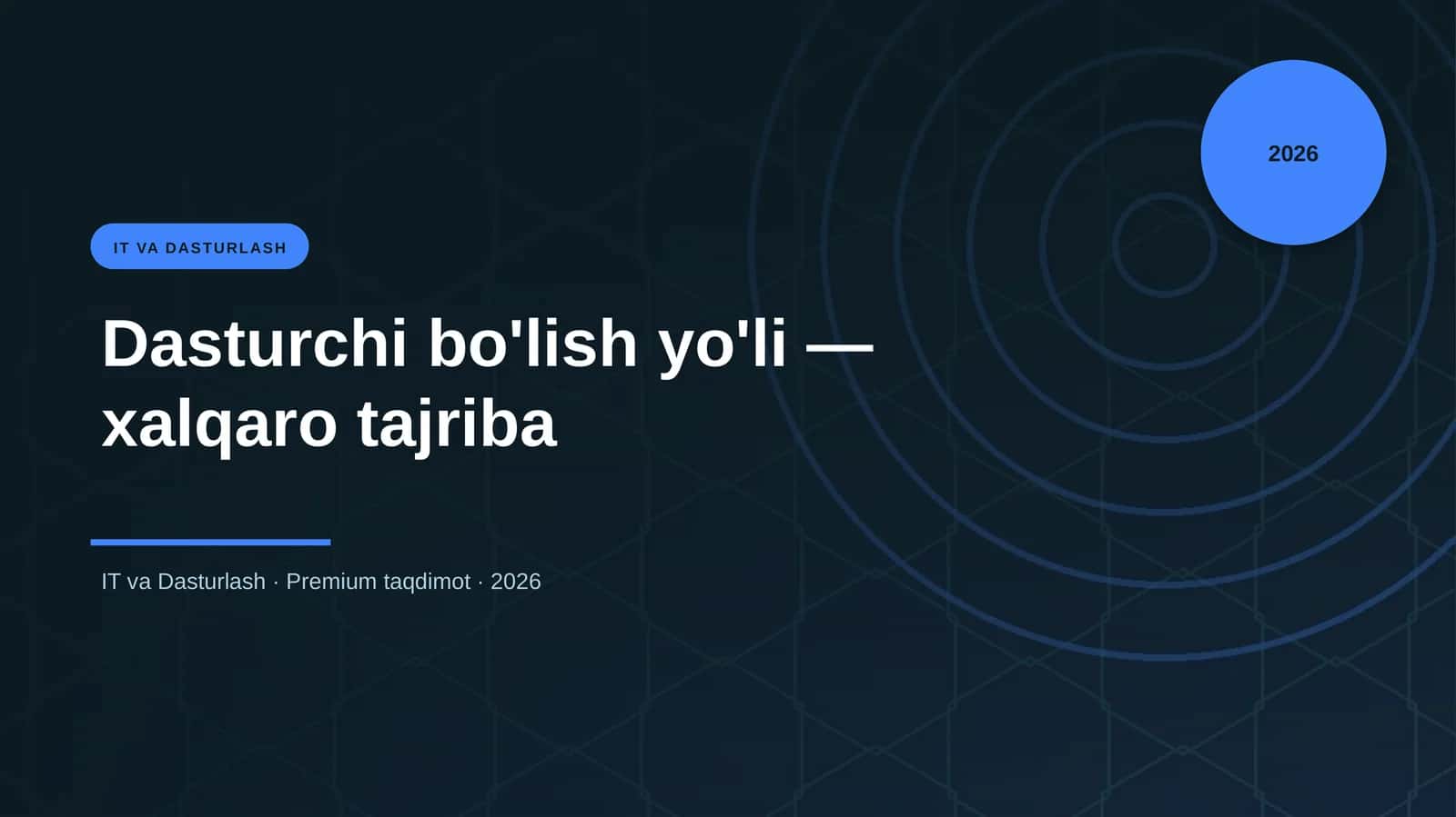Dasturchi bo'lish yo'li — xalqaro tajriba 1