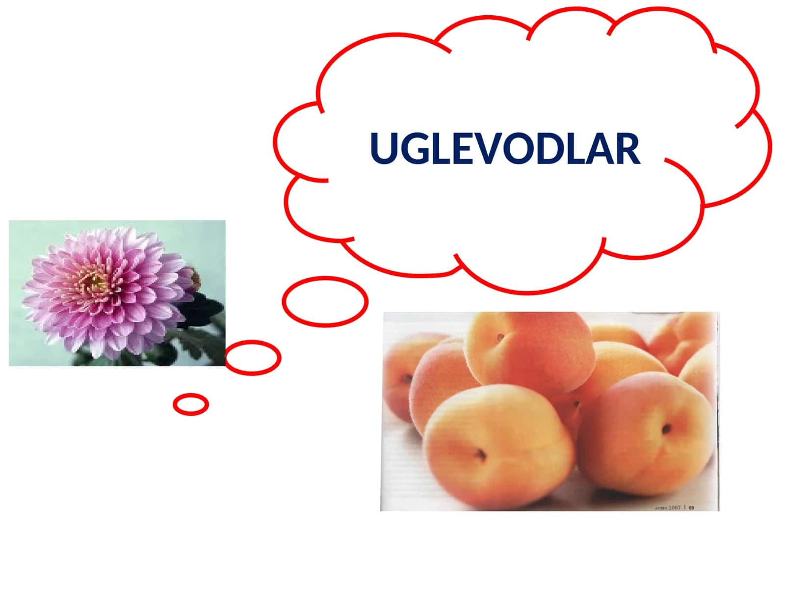 UGLEVODLAR 1
