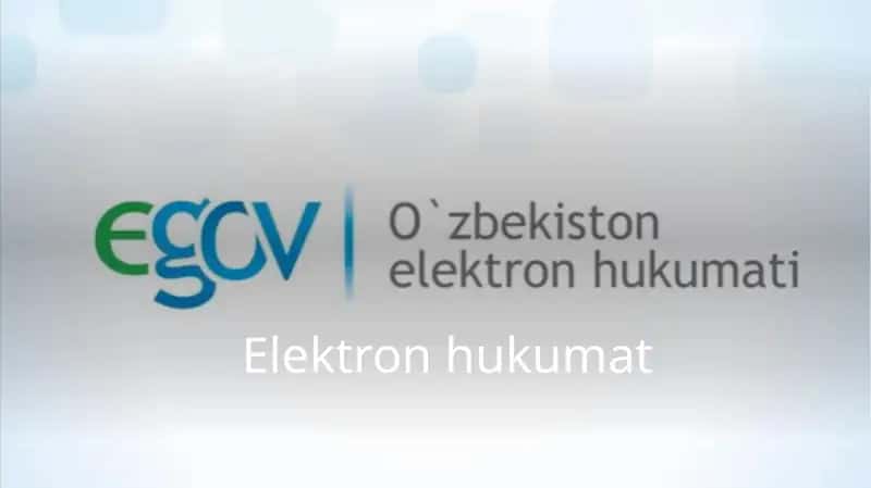 Elektron hukumat E-GOV 1