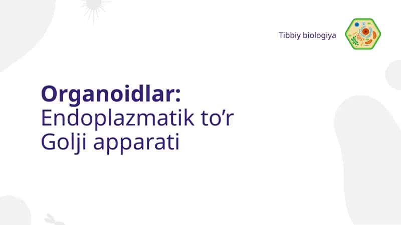 Endoplazmatik to’r Golji apparati 1