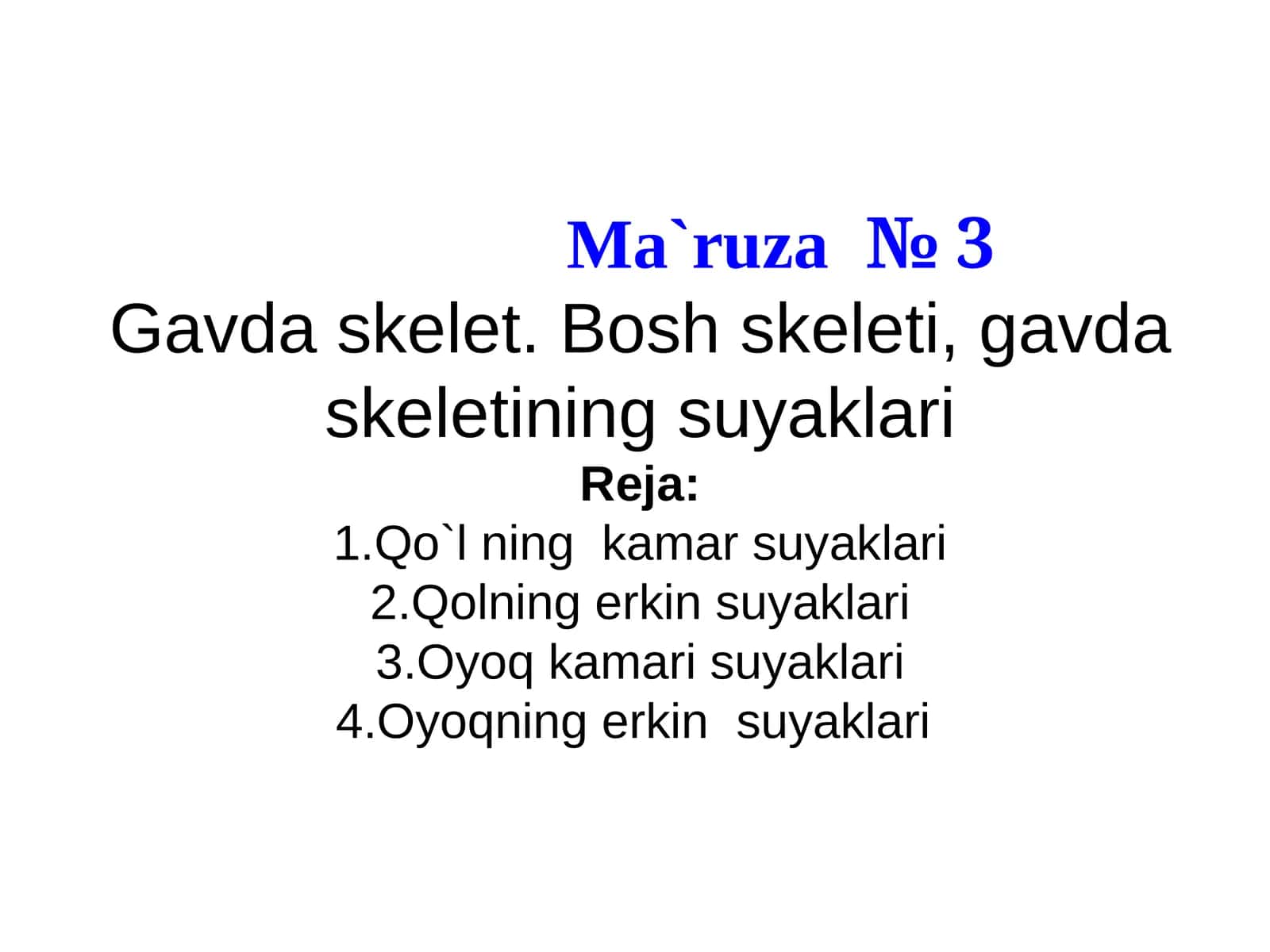 Gavda skeleti 1