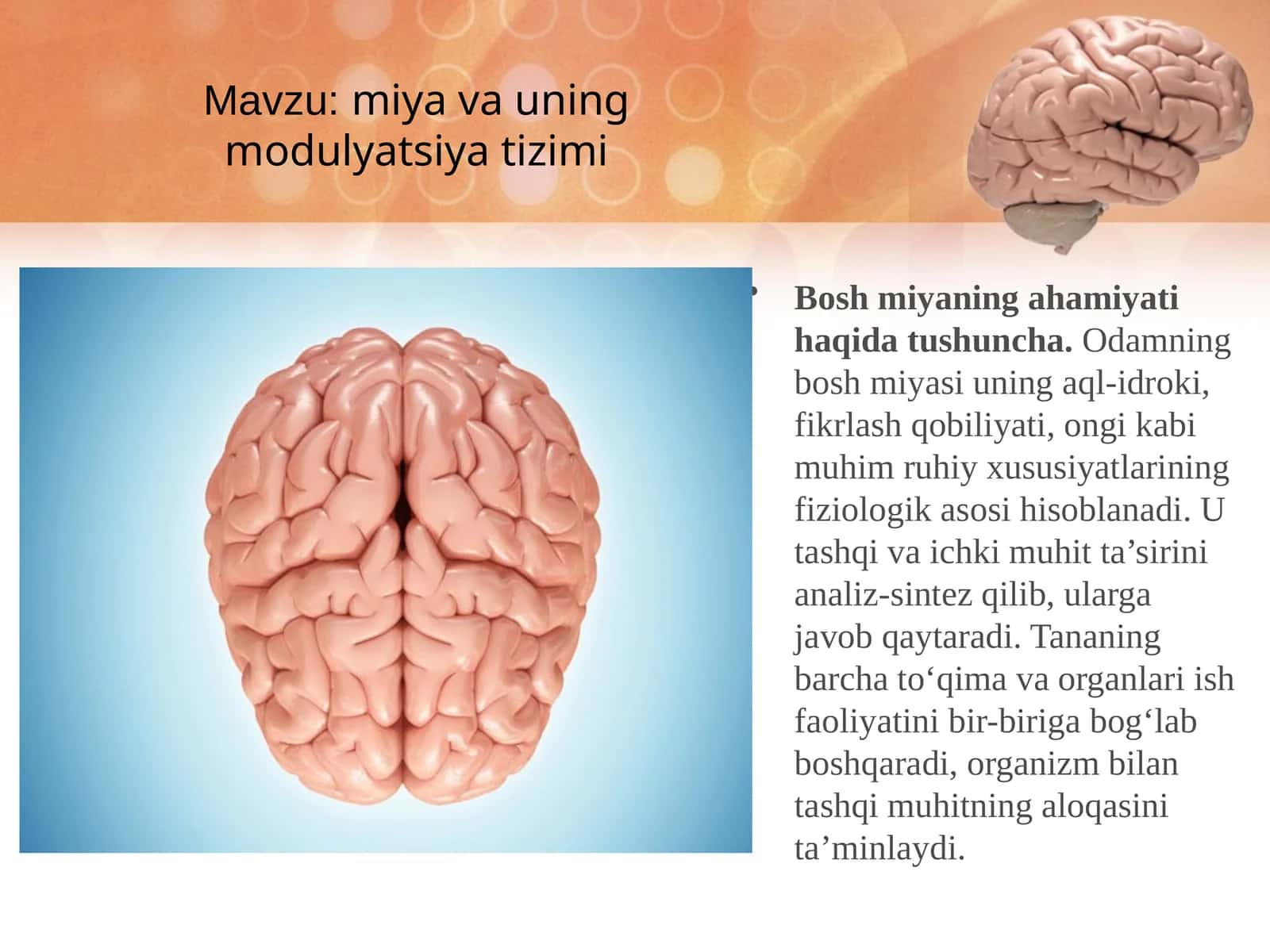Miyava uning modulyatsiya tizimi 1