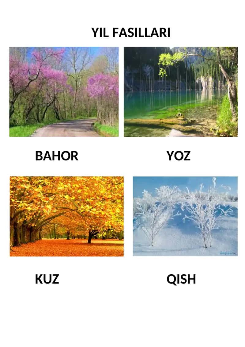 YIL FASILLARI 1