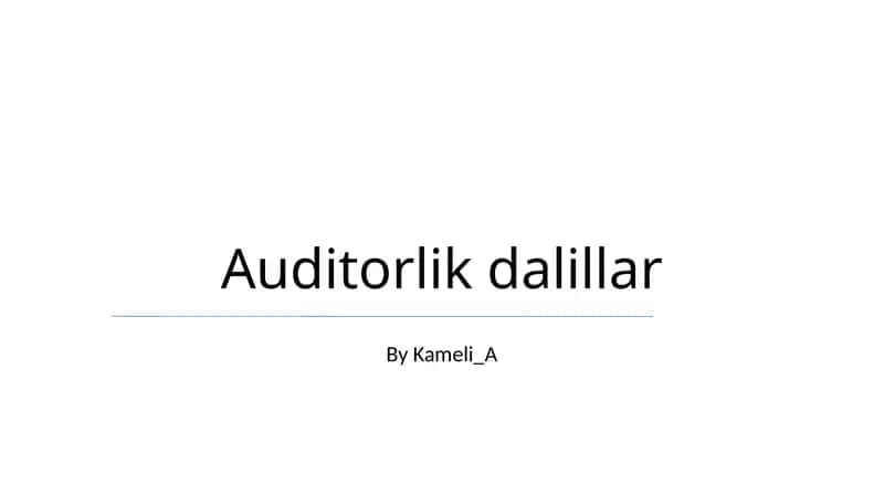Audit Dalillar 1