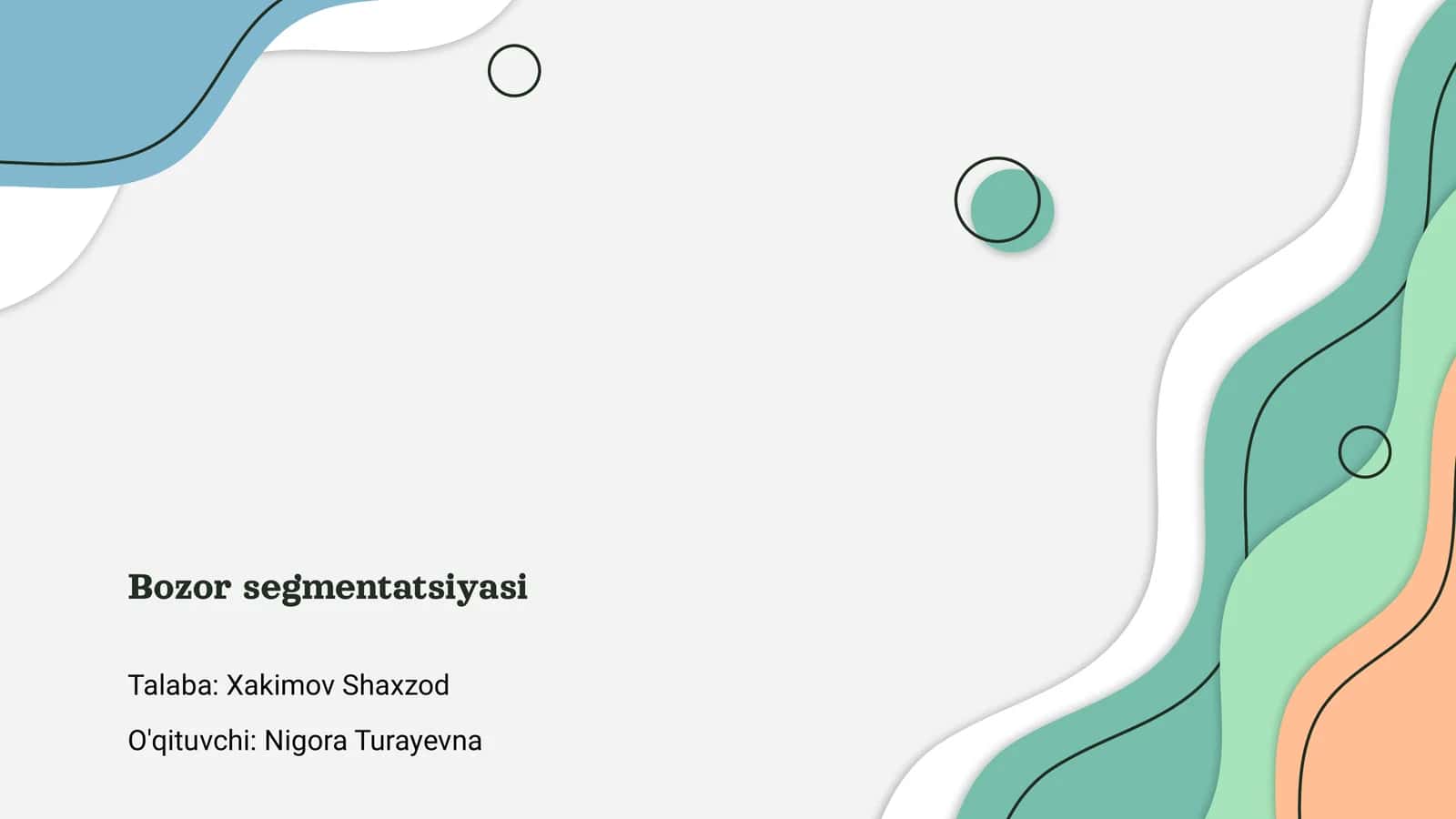 Bozor segmentatsiyasi 1