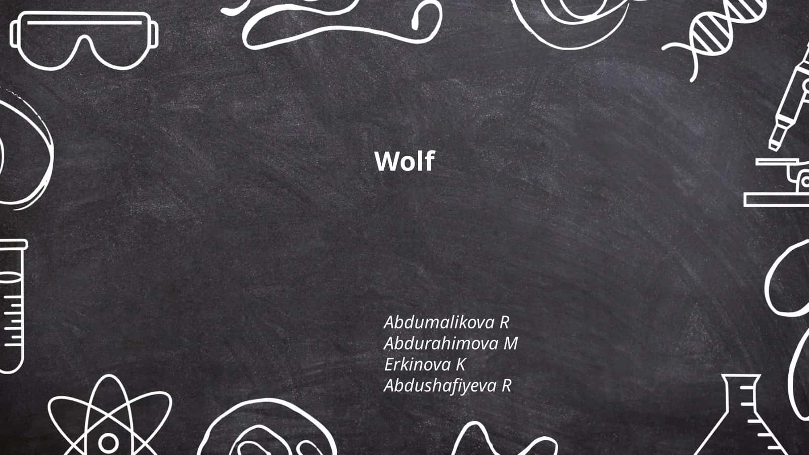 Wolf Behavior 1