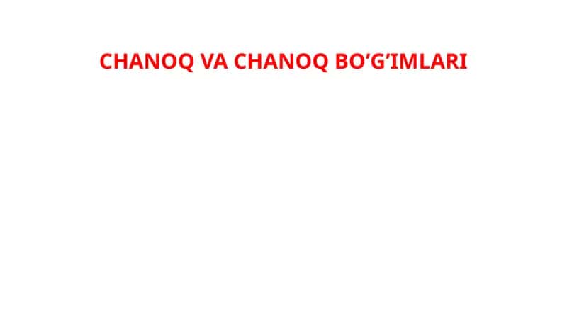 CHANOQ VA CHANOQ BO’G’IMLARI 1