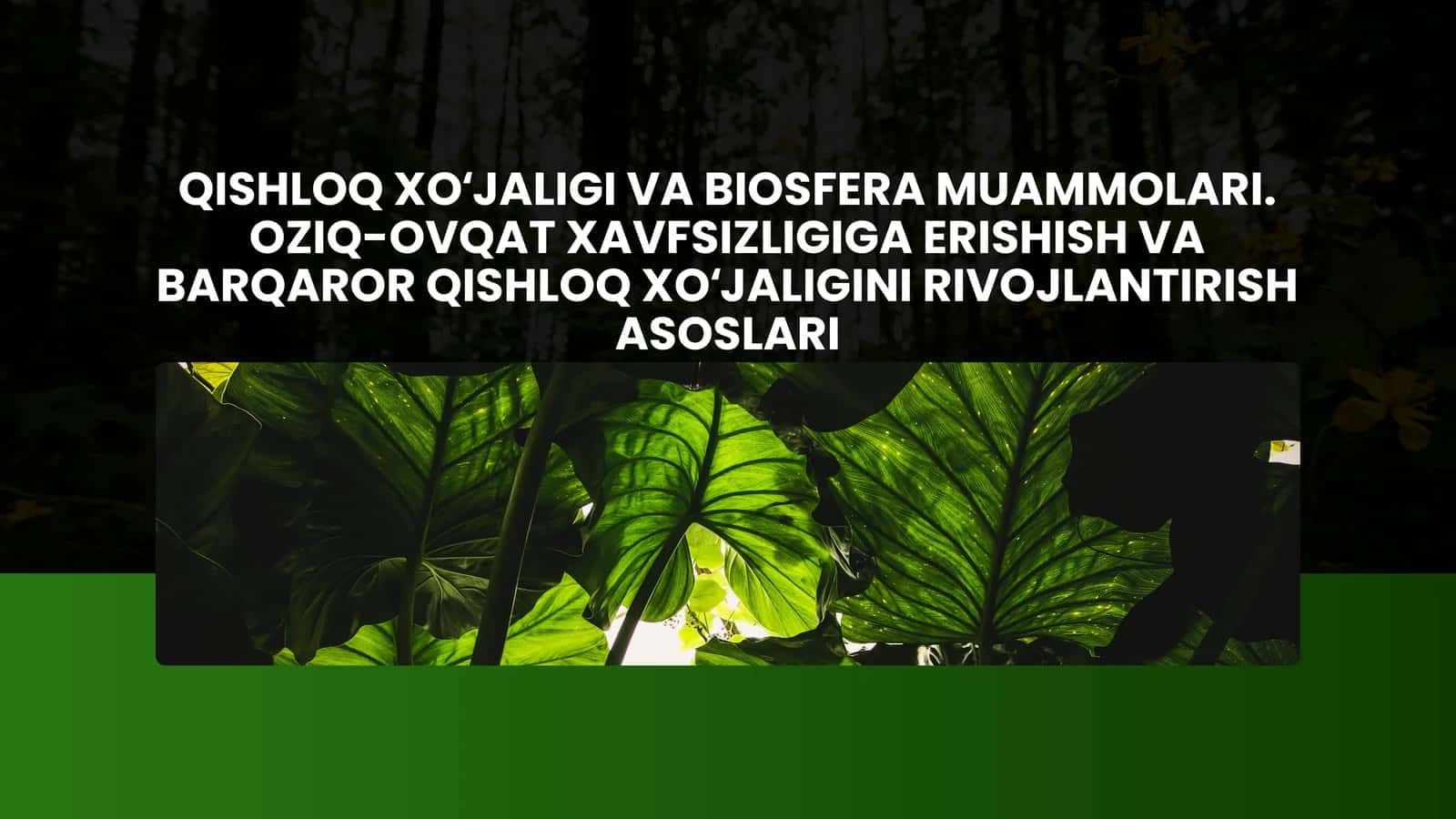 QISHLOQ XOʻJALIGIVA BIOSFERA MUAMMOLARI. OZIQ-OVQAT XAVFSIZLIGIGA ERISHISH VA BARQAROR QISHLOQ XOʻJALIGINI RIVOJLANTIRISH ASOSLARI 1
