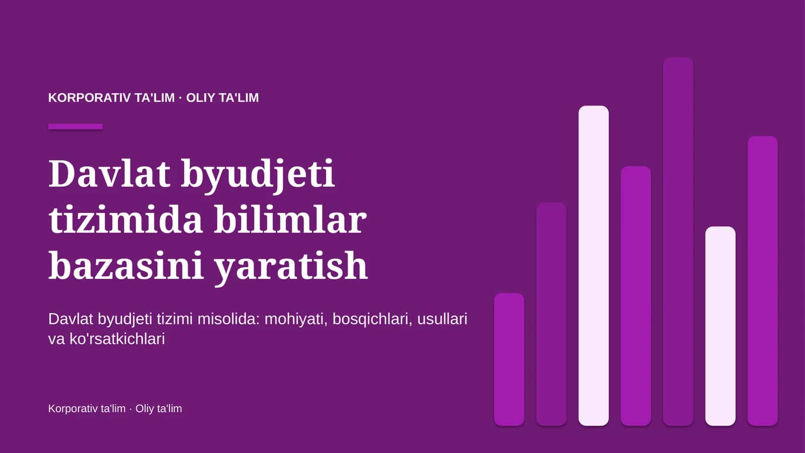 Davlat byudjeti tizimida bilimlar bazasini yaratish 1