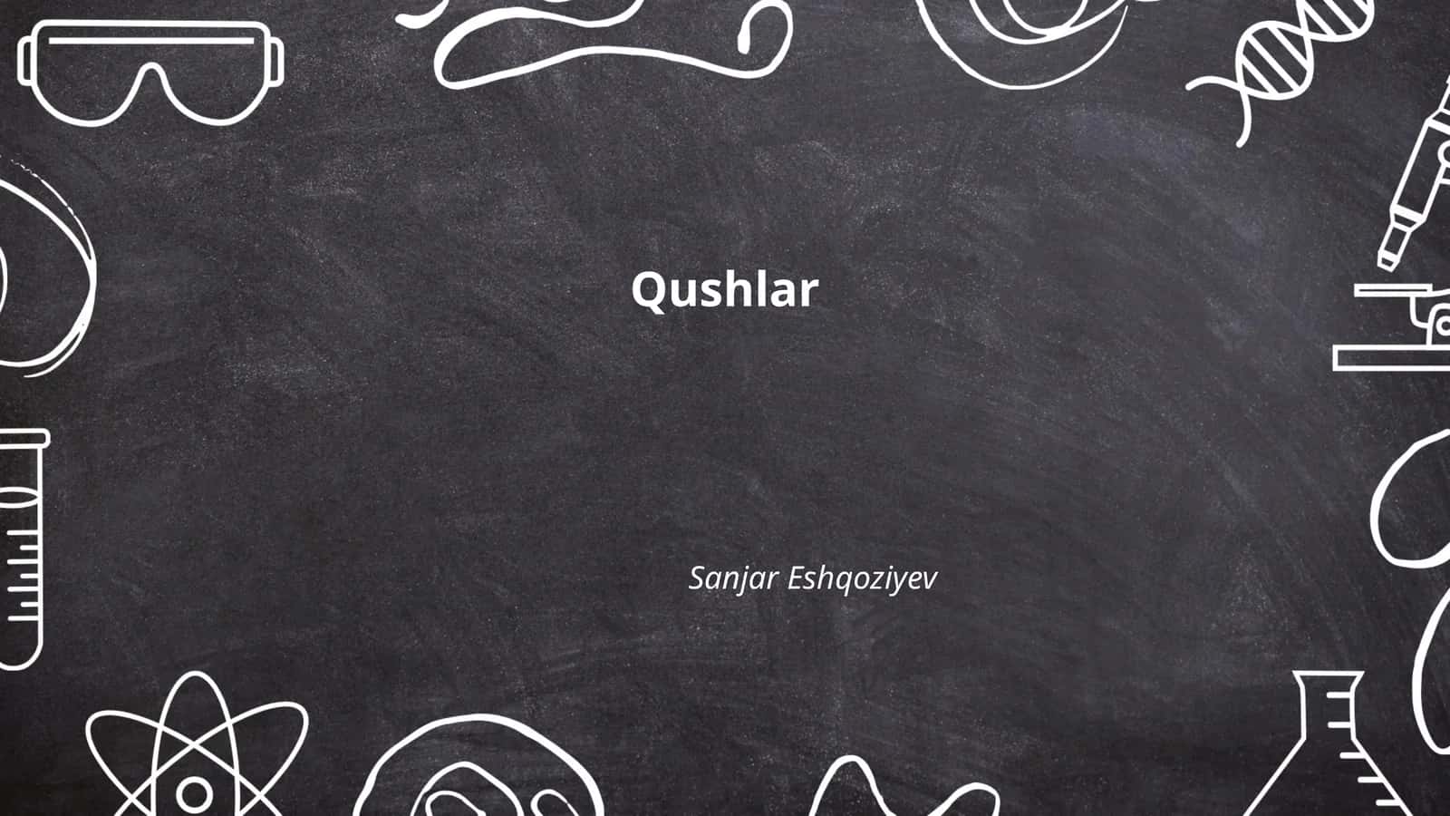 Qushlar 1