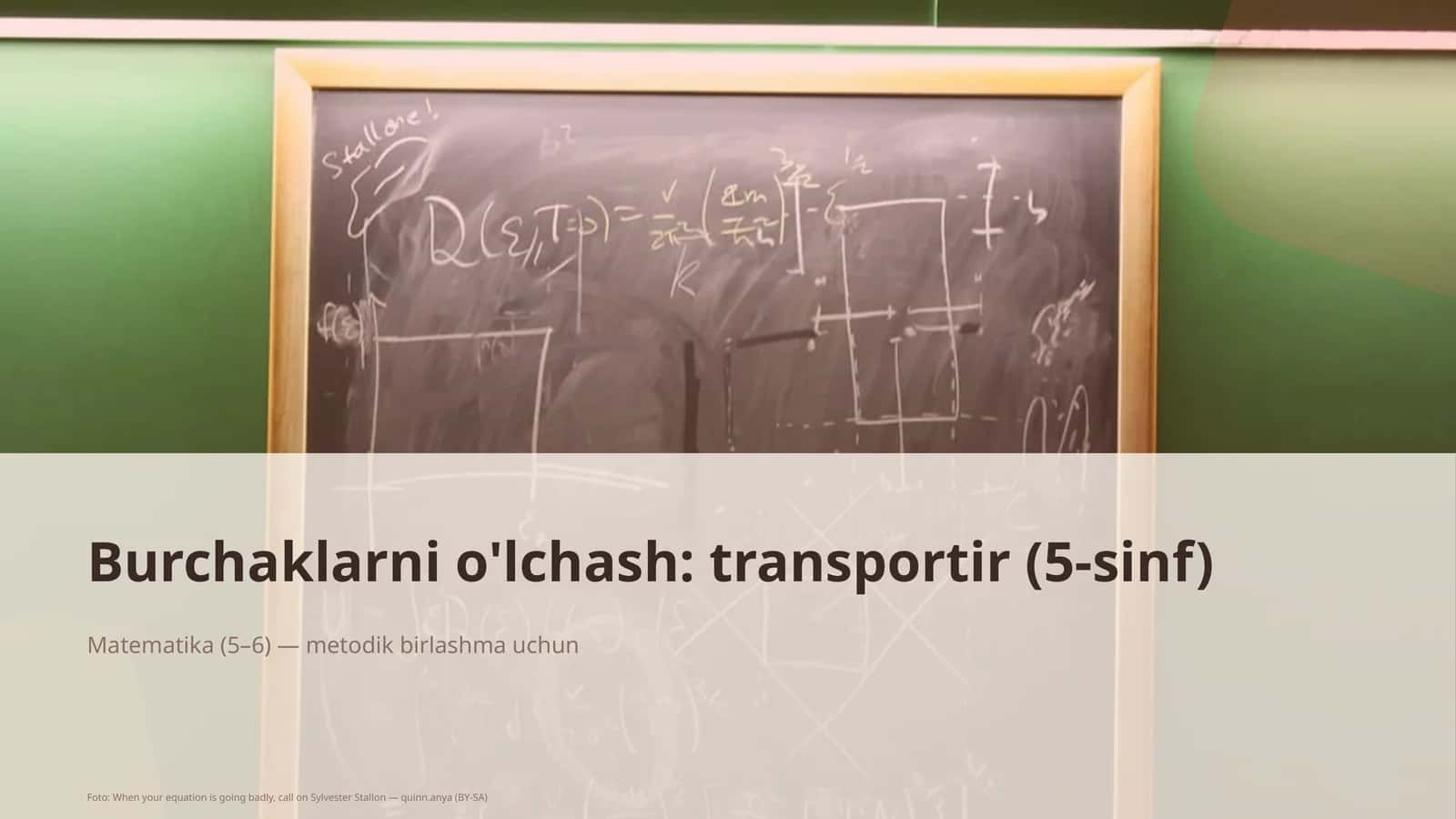 Matematika (5–6) — metodik birlashma uchun 1