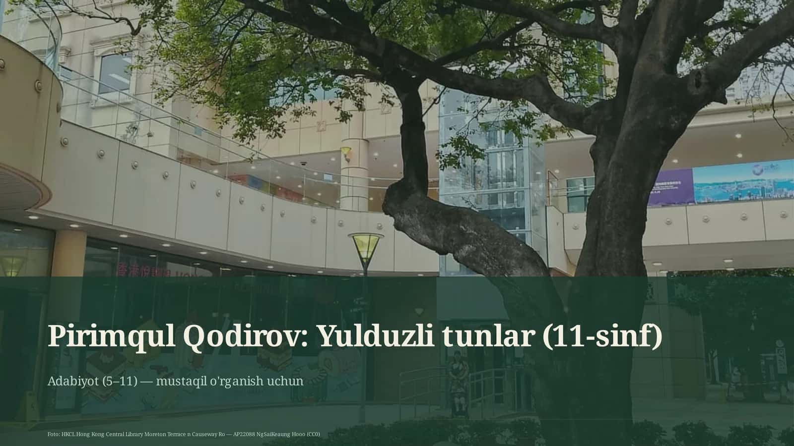 Yulduzli tunlar (11-sinf) 1