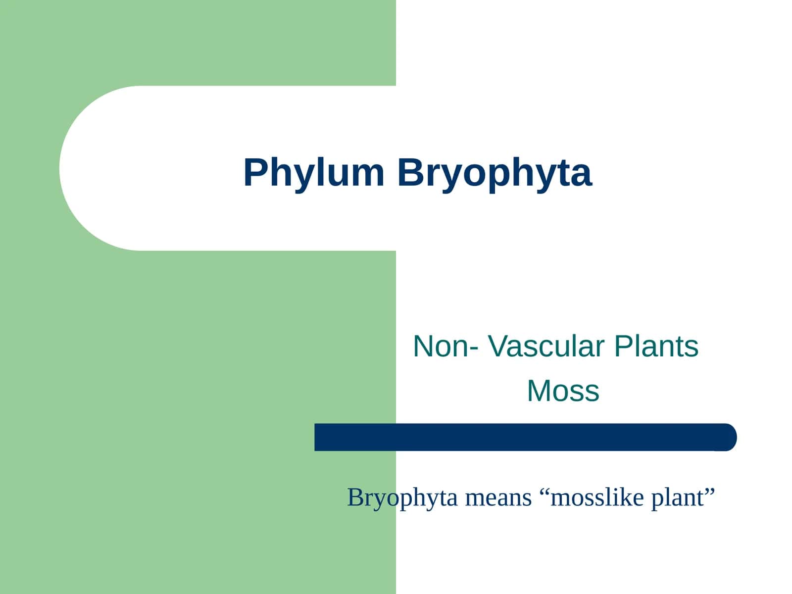 Phylum Bryophyta 1