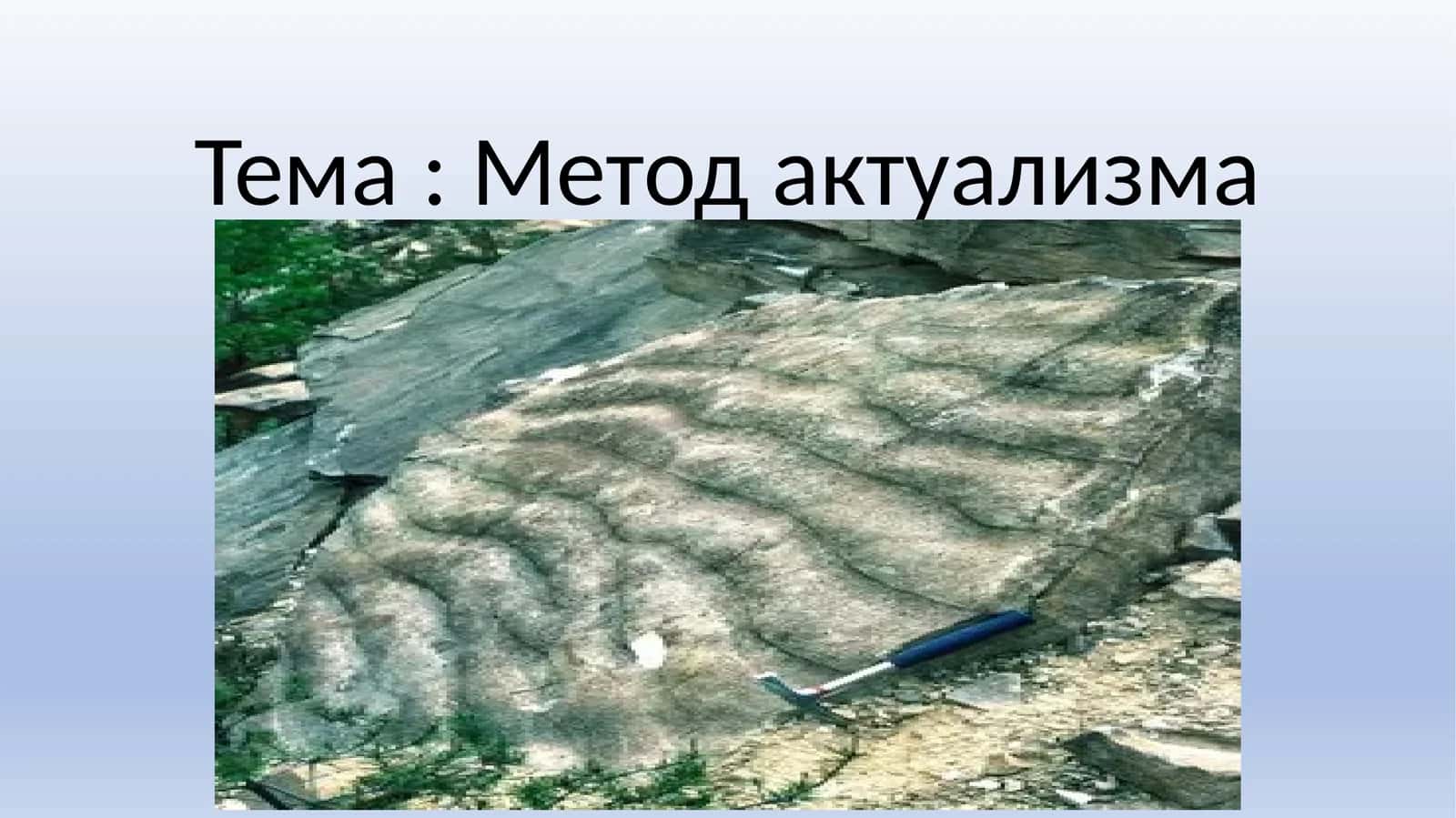 Метод актуализма 1