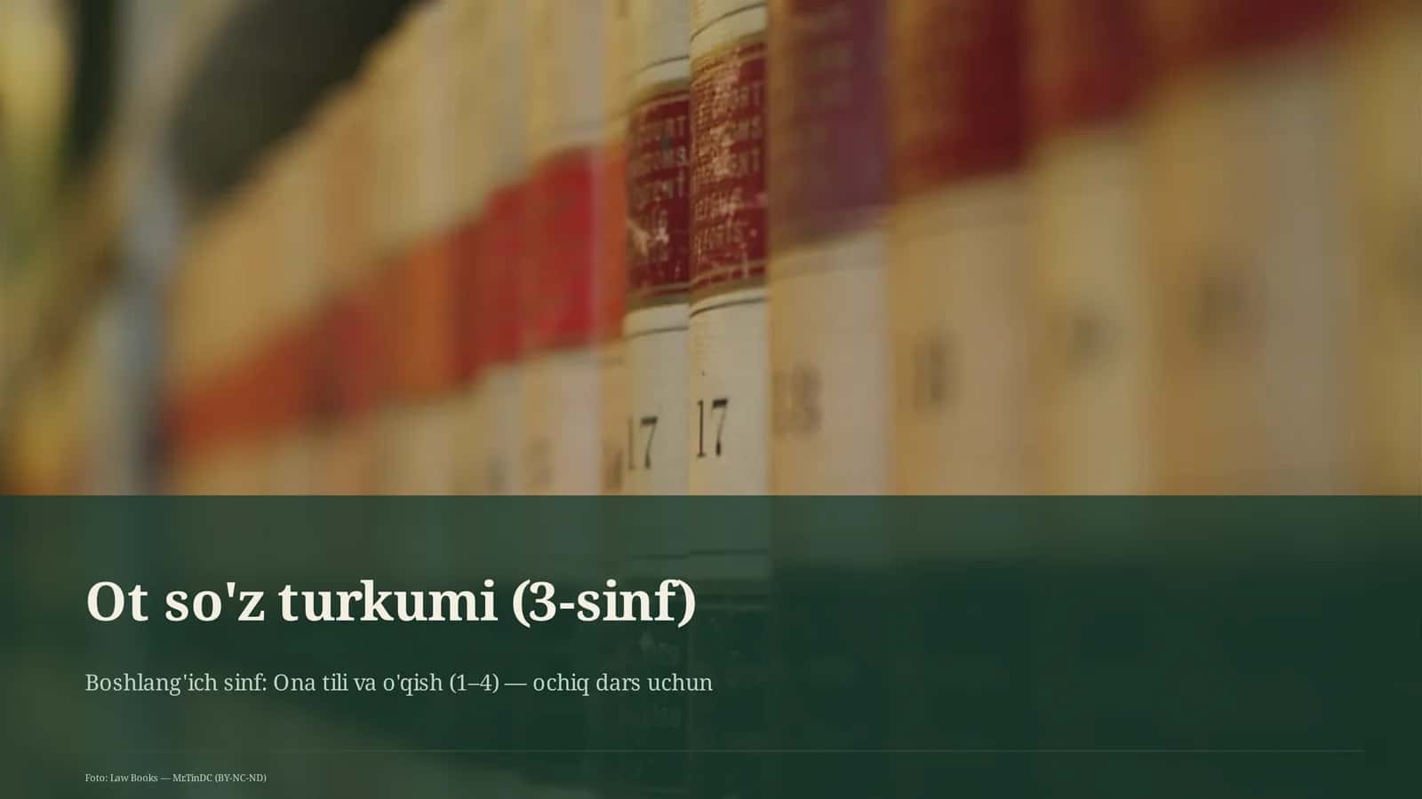 Ot so'z turkumi (3-sinf) 1
