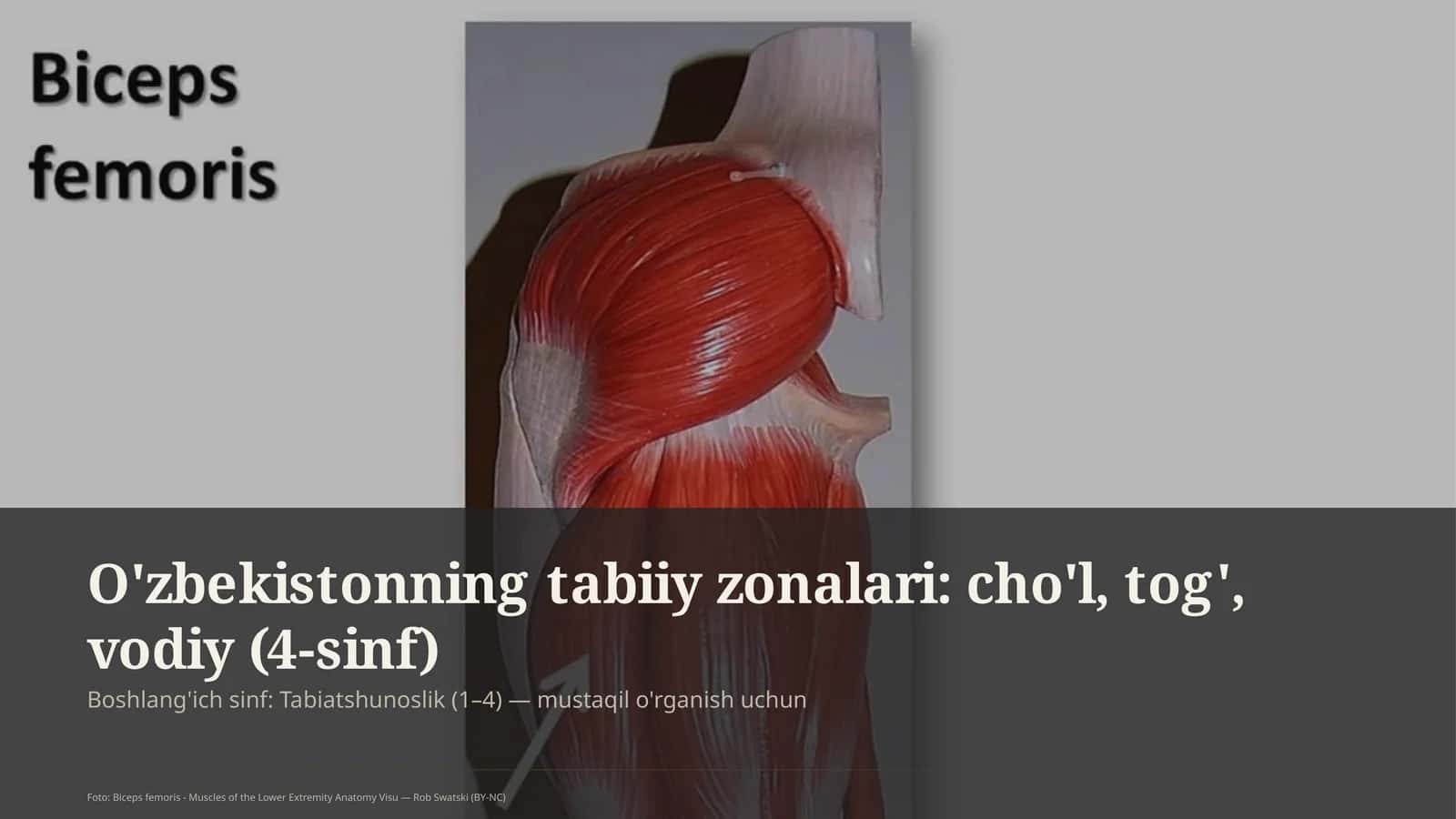 O'zbekistonning tabiiy zonalari: cho'l, tog', vodiy (4-sinf) 1