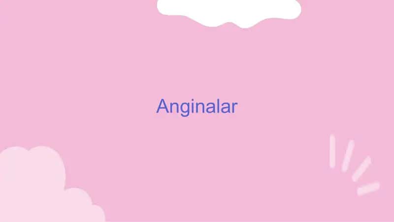 Anginalar 1