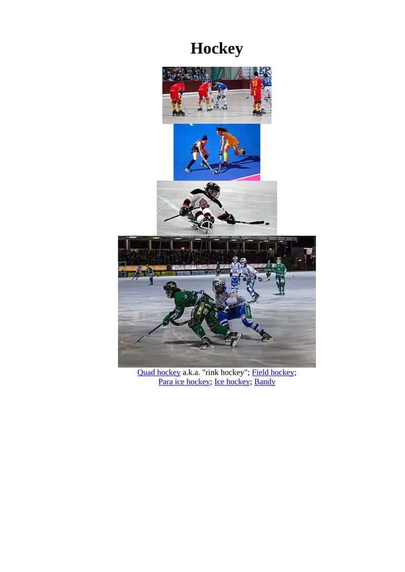 Hockey 1