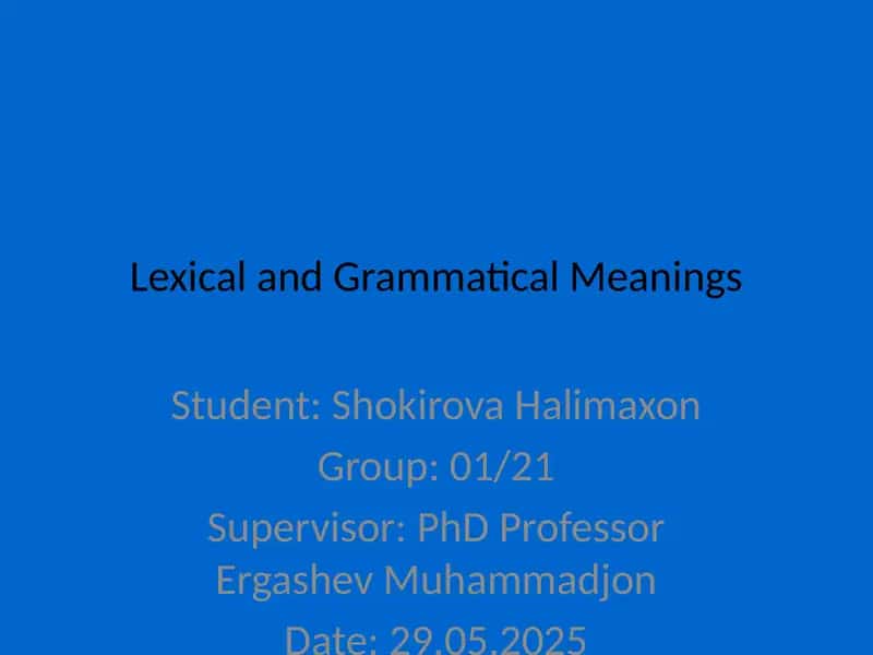 Lexical and Grammatical Meanings 1
