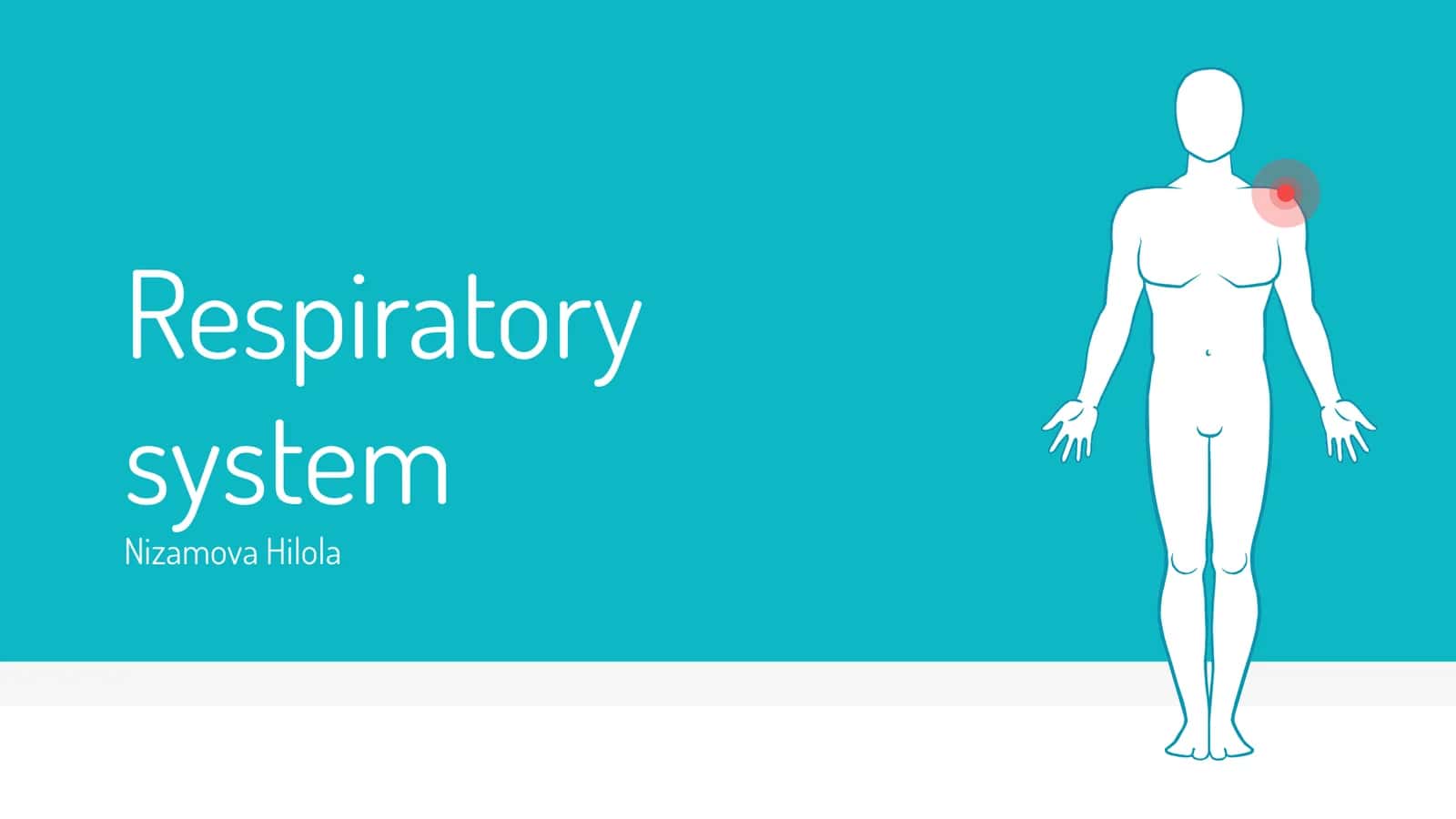 Respiratory system 1