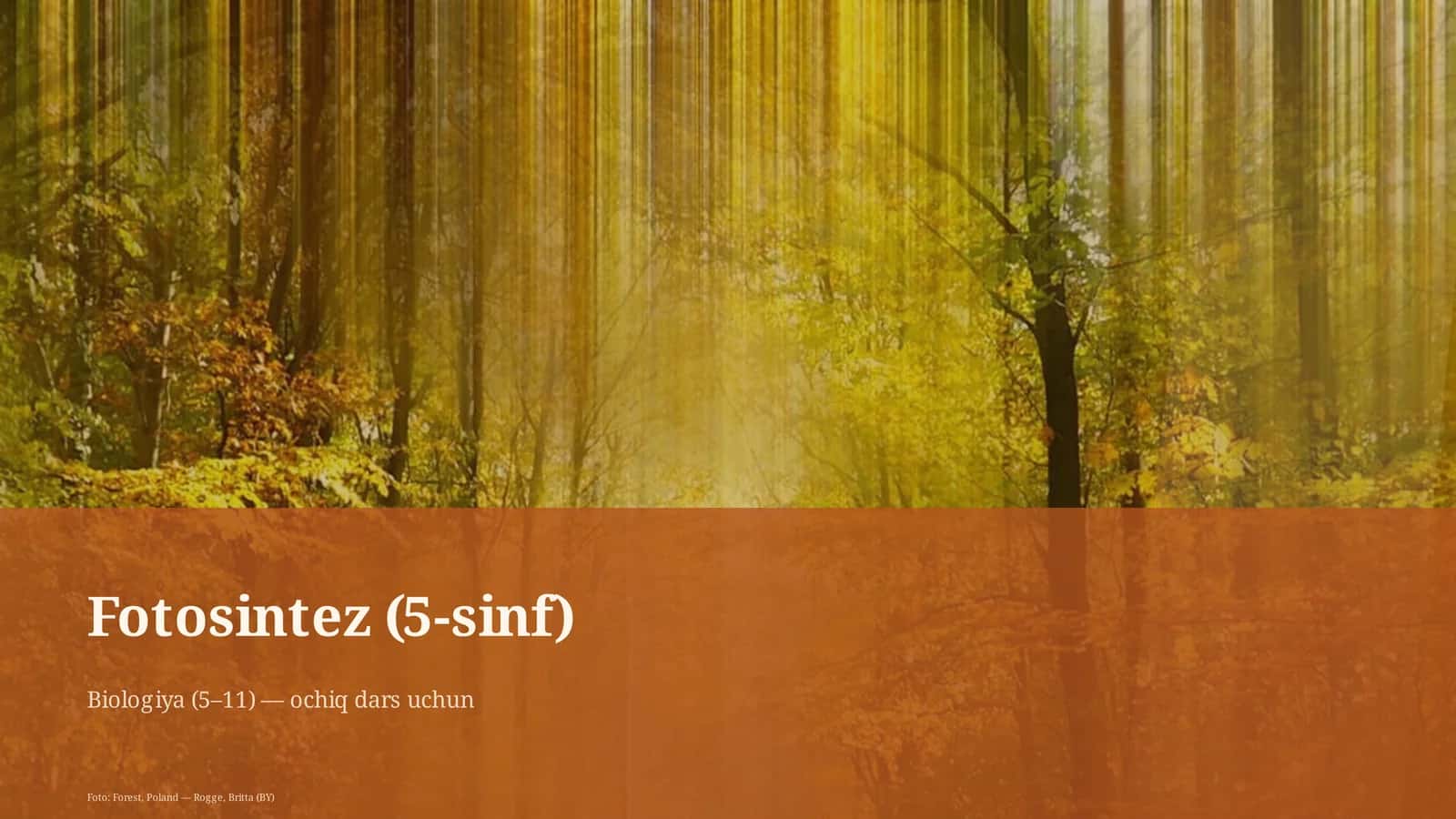 Fotosintez (5-sinf) 1
