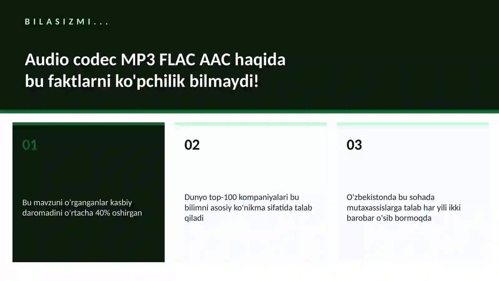 Audio codec MP3 FLAC AAC haqida 2