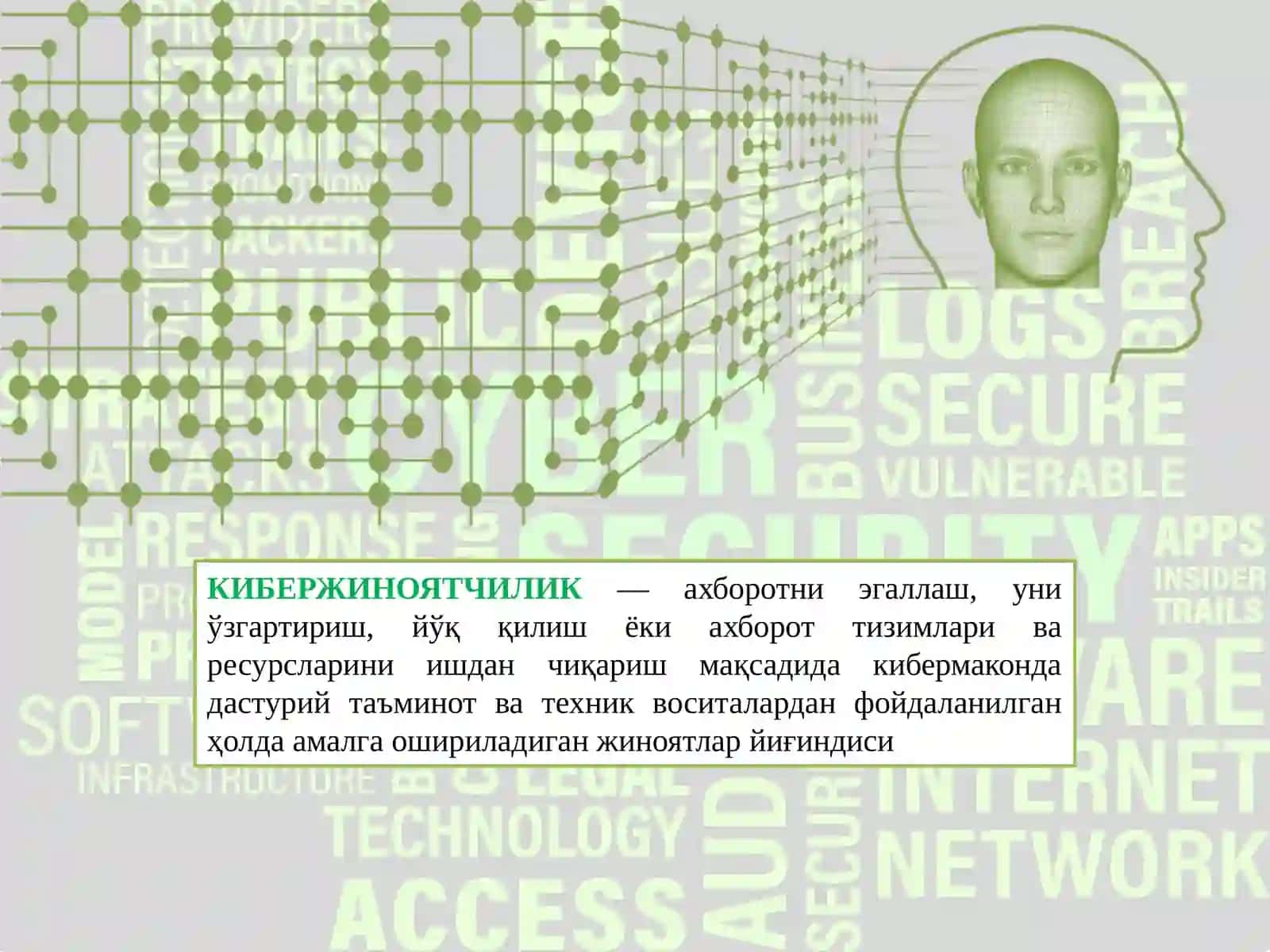 Кибержиноятчилик 2