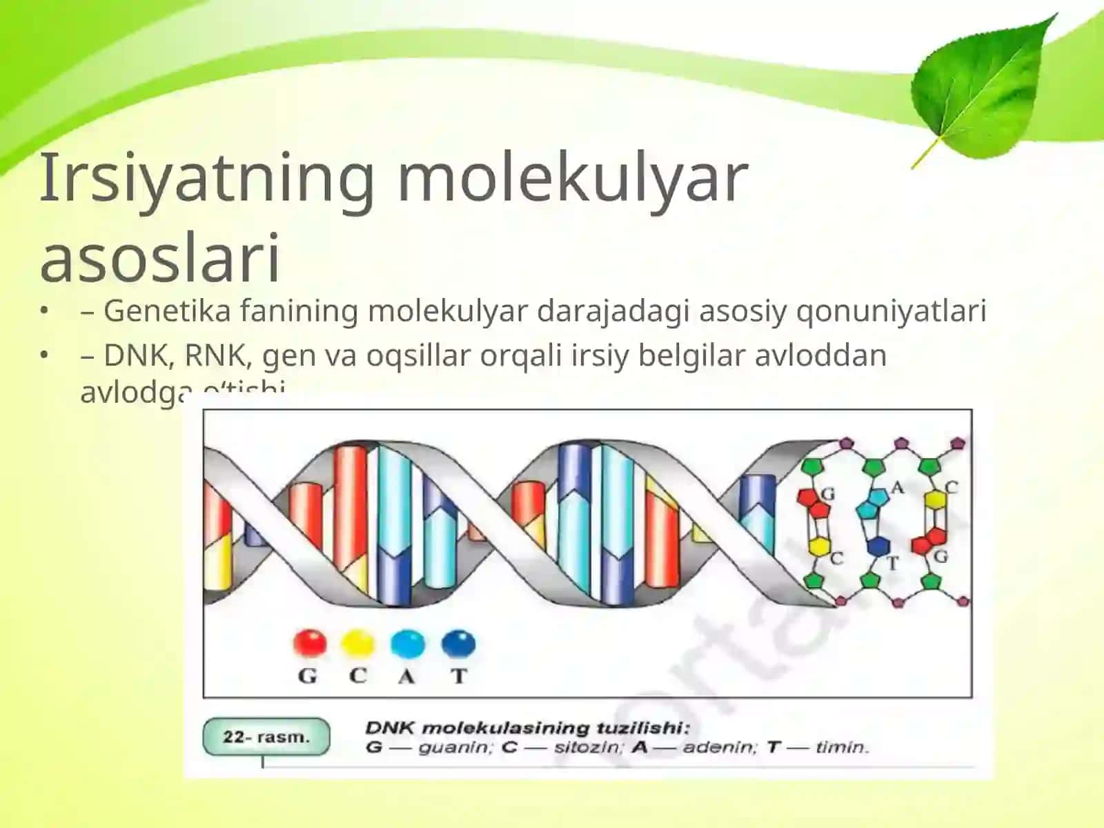 IRSIYATNING MOLEKULYAR ASOSLARI 2