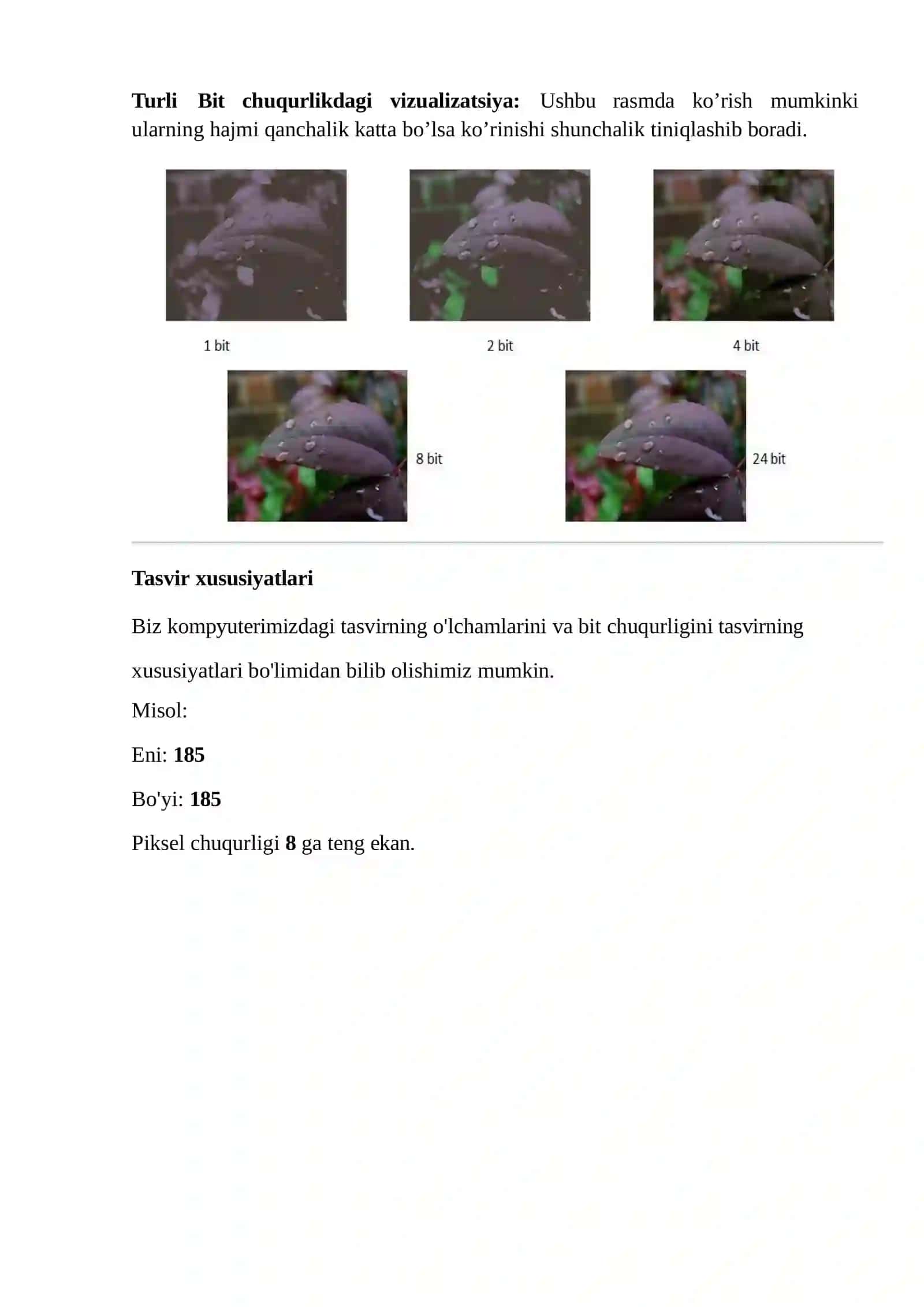 Matnli, grafik, audiovideo axborotlar hajmini hisoblash 2